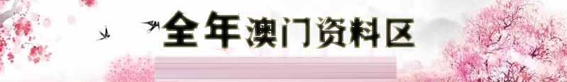 新新澳十点半资料